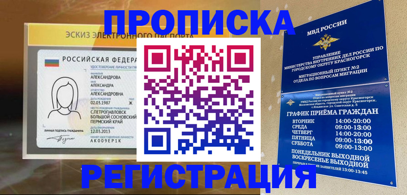 прописка штамп в Светлогорске