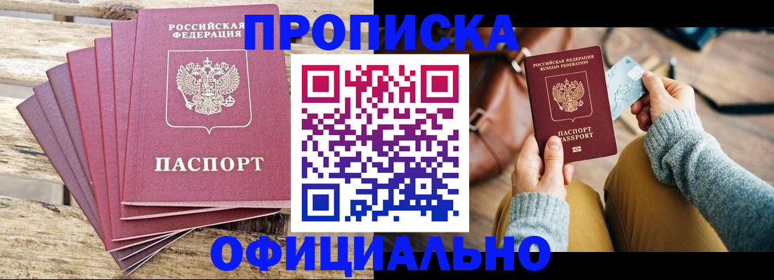 где прописаться в Светлогорске